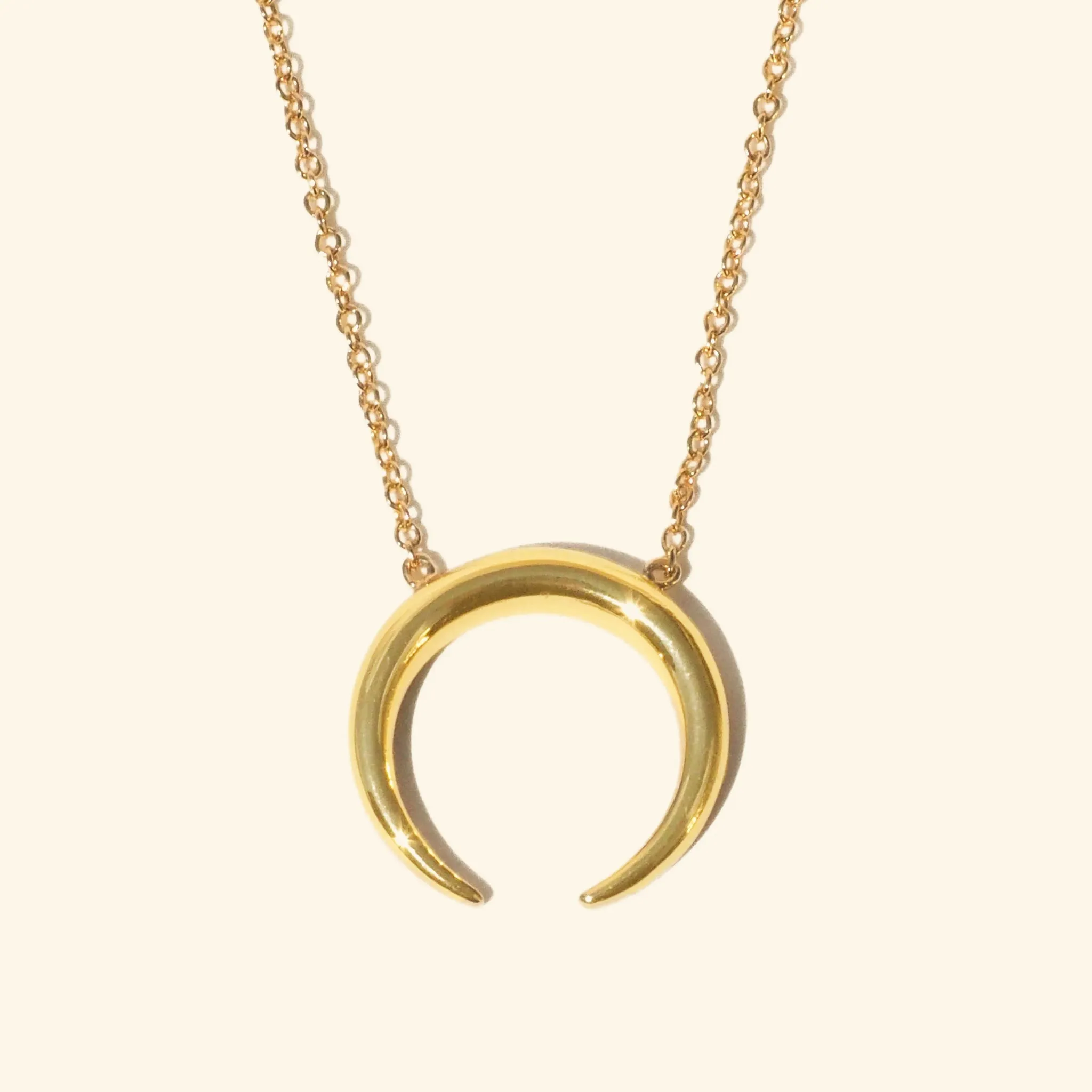 Horn Necklace